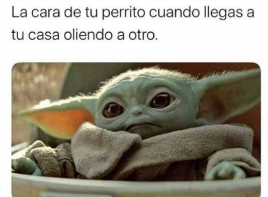 Memes de Baby Yoda